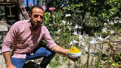 Faydaları Saymakla Bitmiyor: Akzambak Çiçeği Fiyatıyla Dikkat Çekiyor