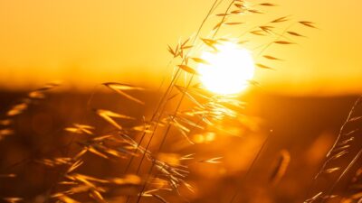 Uzmanı Uyardı: Rüzgârlı Havada Daha Uzun Süre Güneşlenmek UV Riskini Artırır