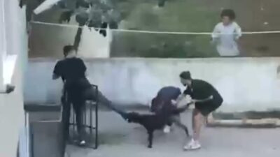 İstanbul’un Göbeğinde Pitbull Dehşeti Yaşandı! Saldırı Anı Kameraya Yansıdı