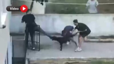 İstanbul’un Göbeğinde Pitbull Dehşeti Yaşandı! Saldırı Anı Kameraya Yansıdı