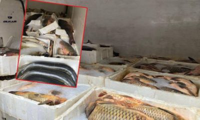 Kaçak balık avcılığına büyük darbe