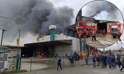 Fındık fabrikasında yangın!