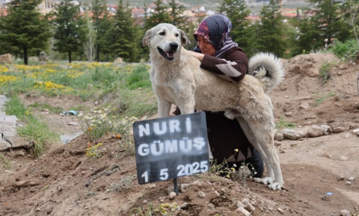 Ölen sahibinin mezarından ayrılmıyor