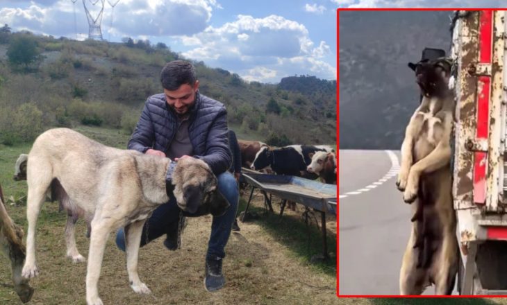 O köpeğin sahibi konuştu