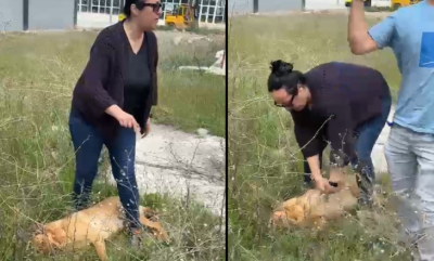 Kahramankazan’da ‘köpek toplama’ gerginliği
